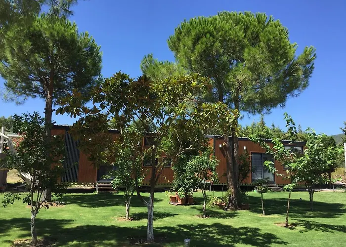 Sakiz Tiny House & * Urla