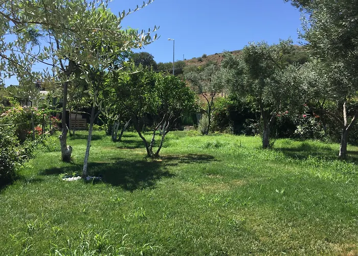 Sakiz Tiny House & * Urla