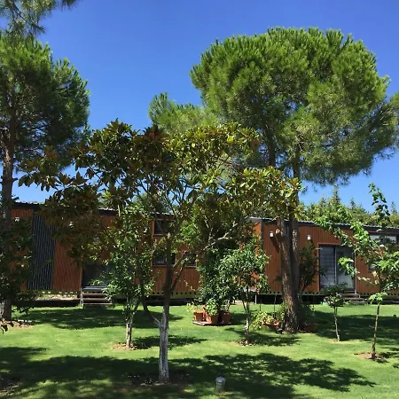 Sakiz Tiny House & * Urla