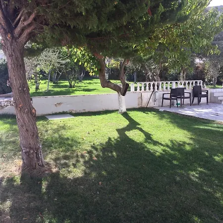 Sakiz Tiny House & *